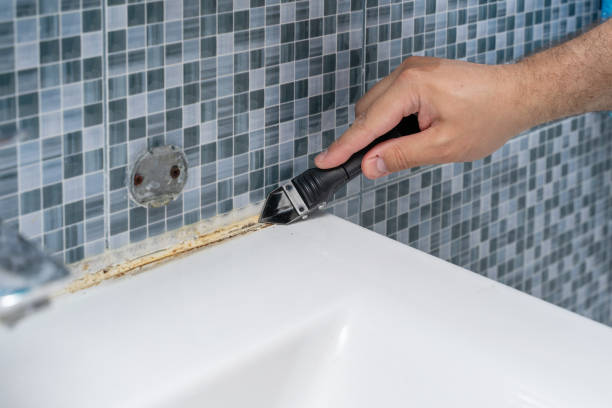 Best Residential Mold Remediation in Youngstown, OH
